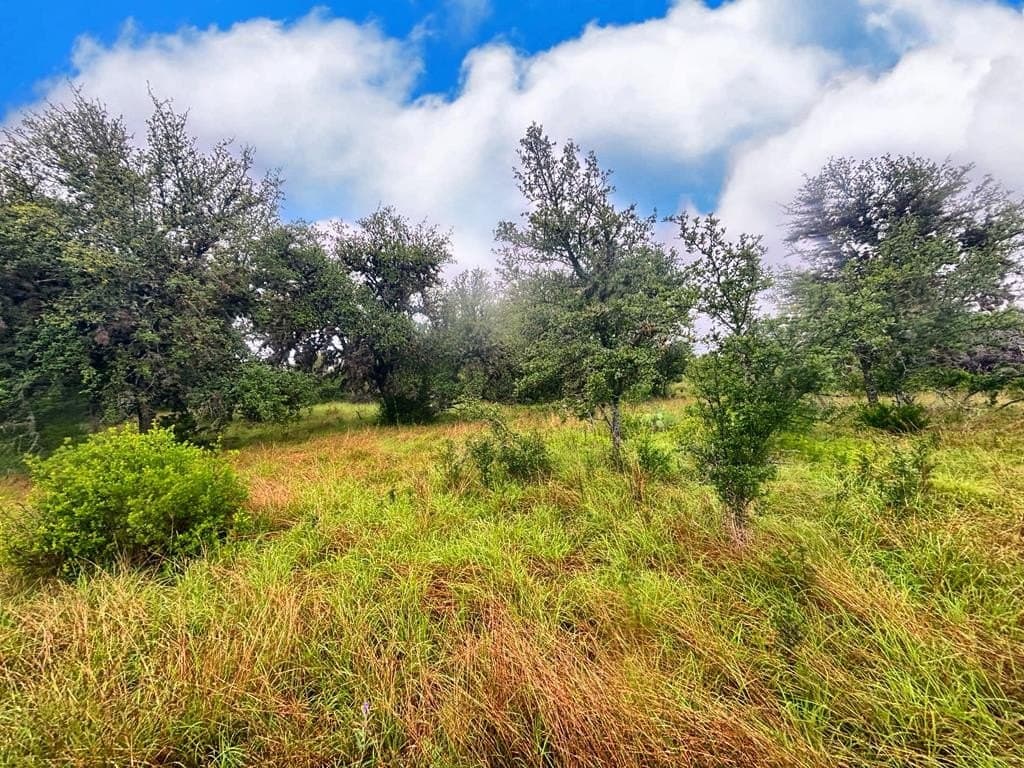 214.23 acres in Edwards County - photo 35