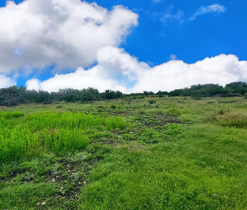 214.23 acres in Edwards County - photo 39