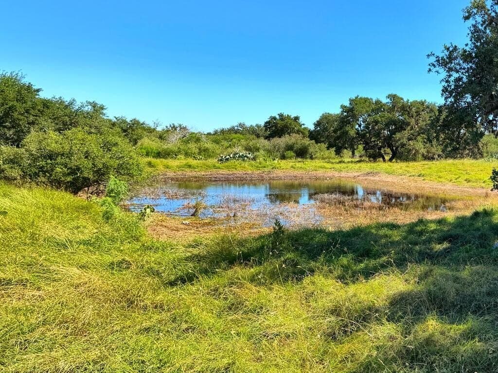 214.23 acres in Edwards County - photo 2
