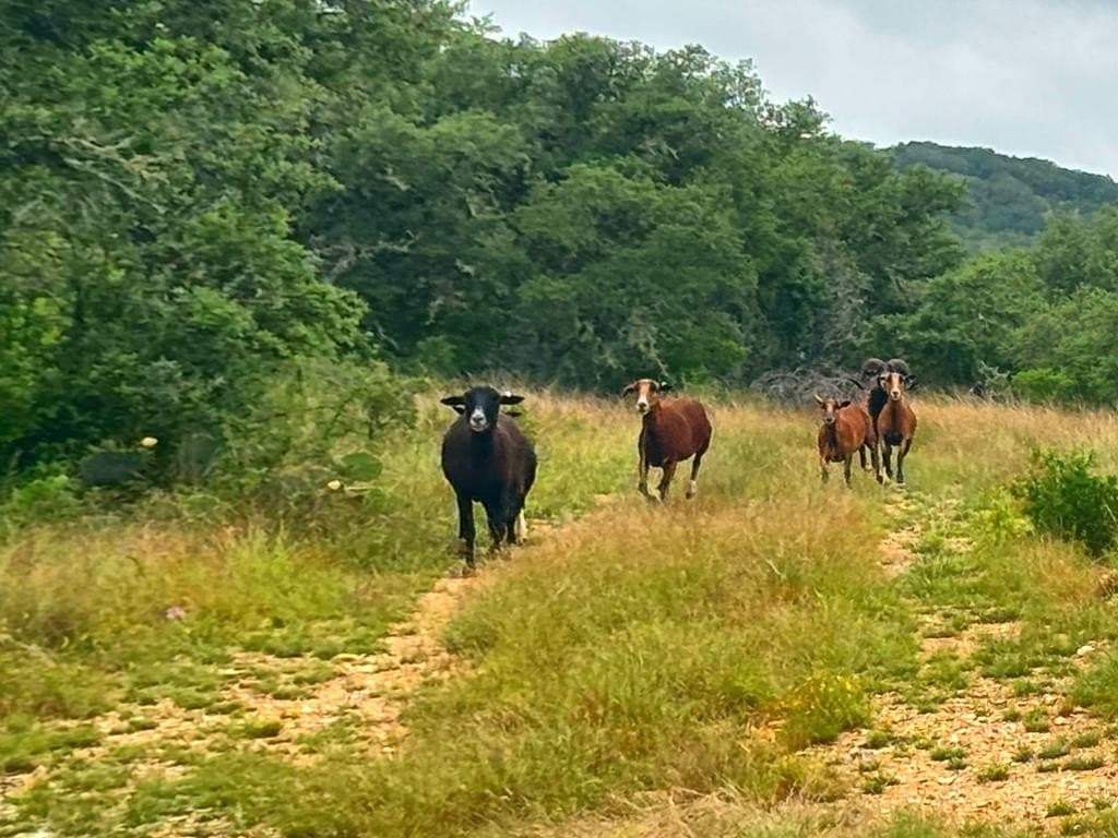 214.23 acres in Edwards County - photo 45