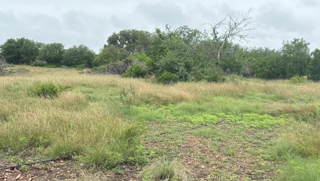 214.23 acres in Edwards County - photo 20