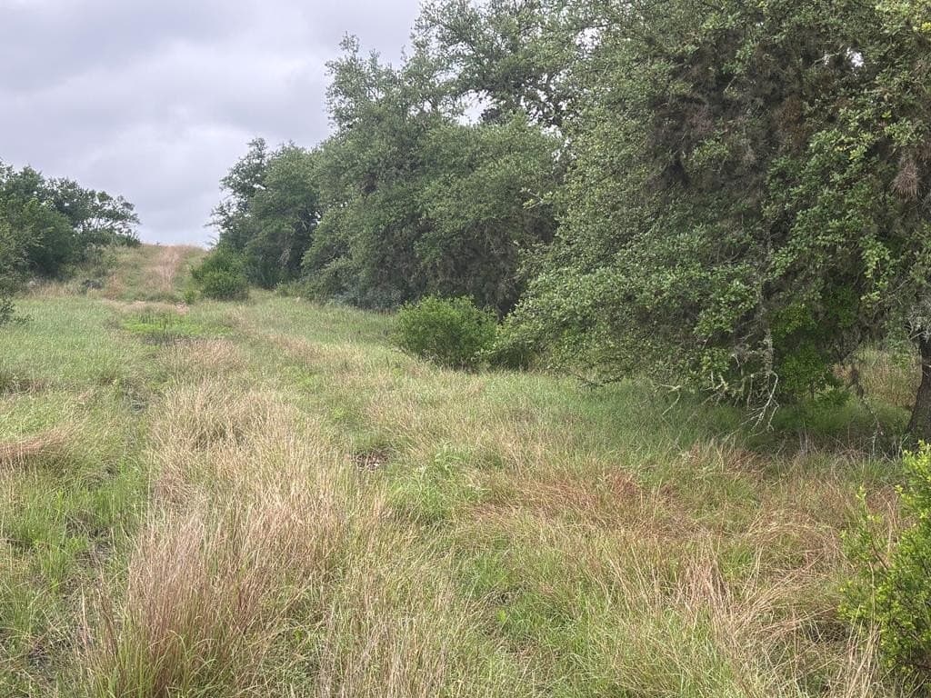 214.23 acres in Edwards County - photo 34