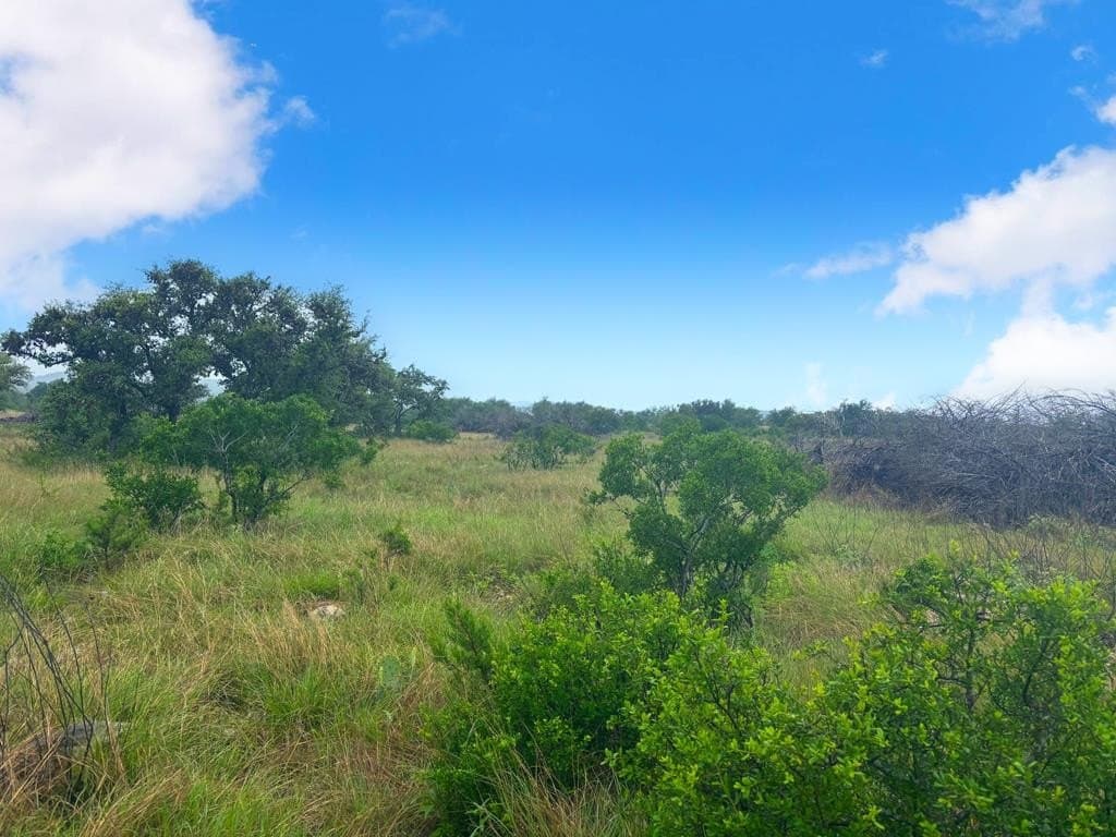 214.23 acres in Edwards County - photo 7