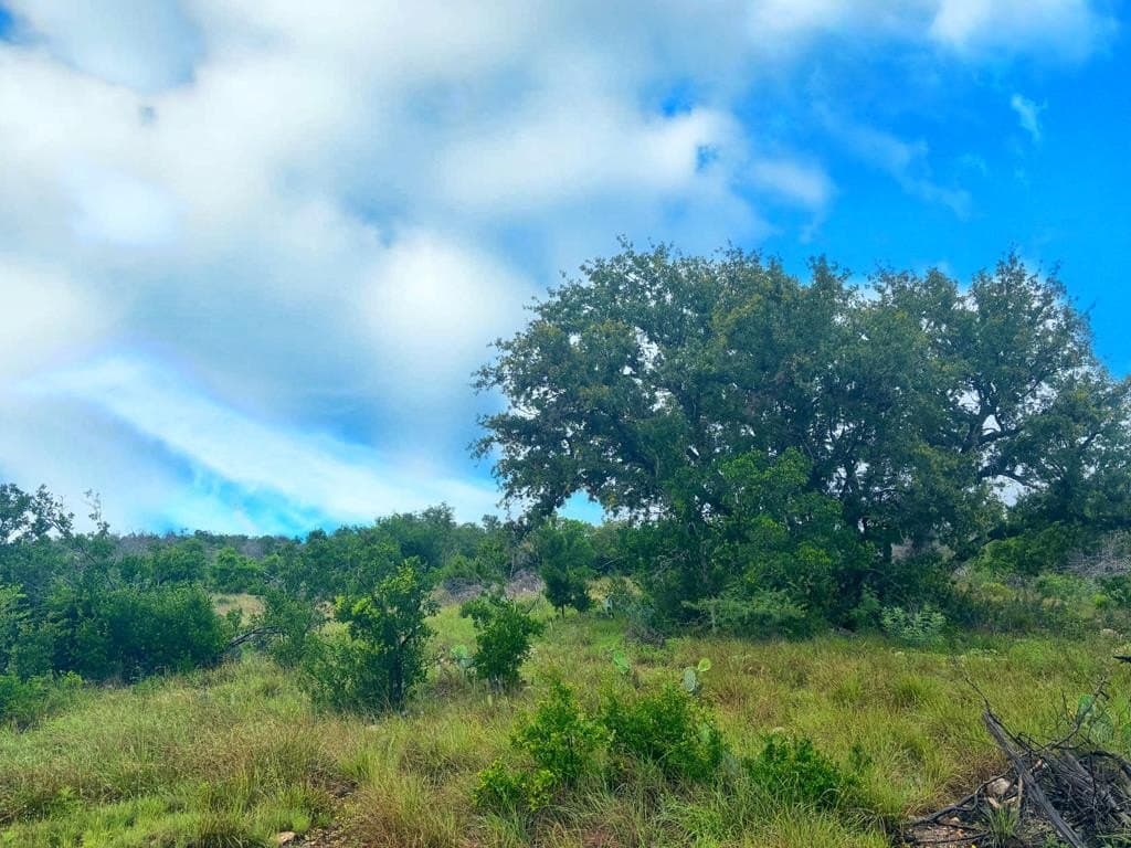 214.23 acres in Edwards County - photo 11