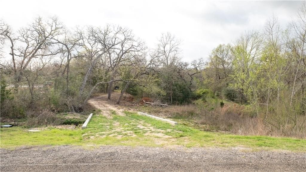 3.37 acres in Brazos County gallery image 3