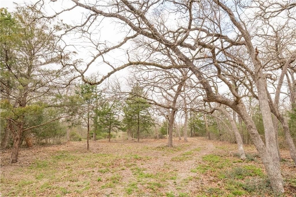 3.37 acres in Brazos County featured view