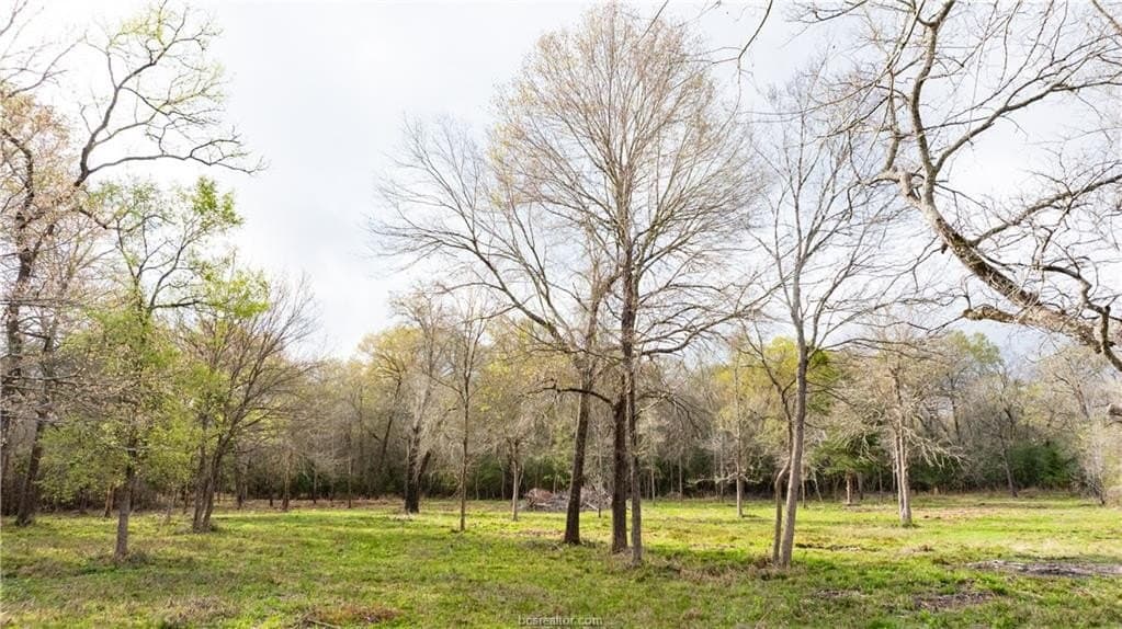3.37 acres in Brazos County gallery image 4