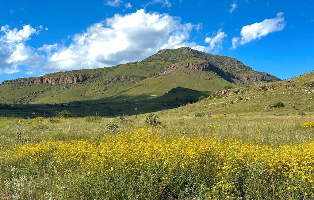 10 acres in Jeff Davis County gallery image 3