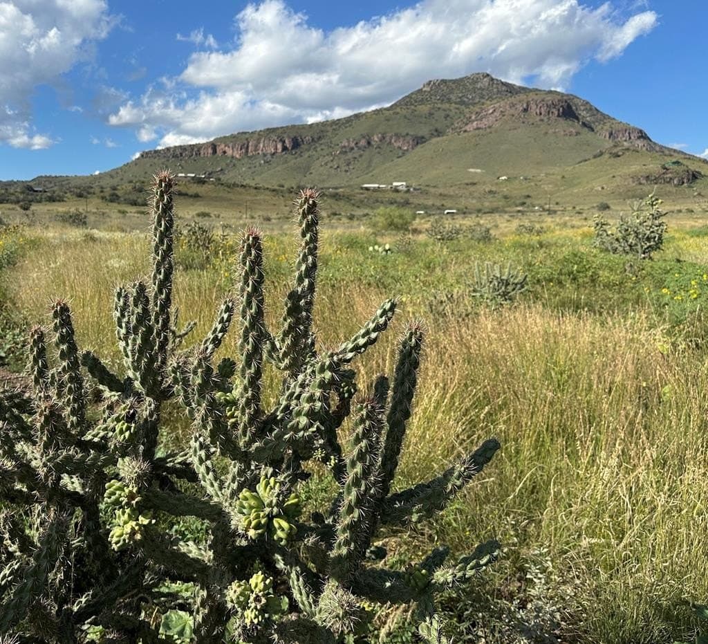 10 acres in Jeff Davis County featured view