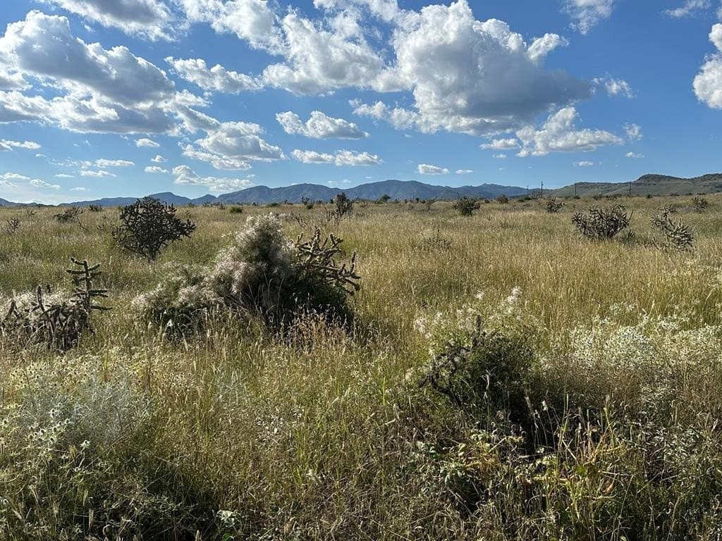 10 acres in Jeff Davis County gallery image 4