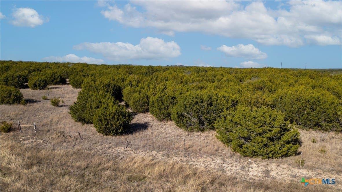 20 acres in Lampasas County - photo 13