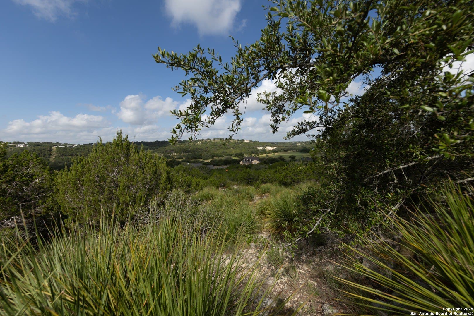 1.64 acres in Comal County - photo 9