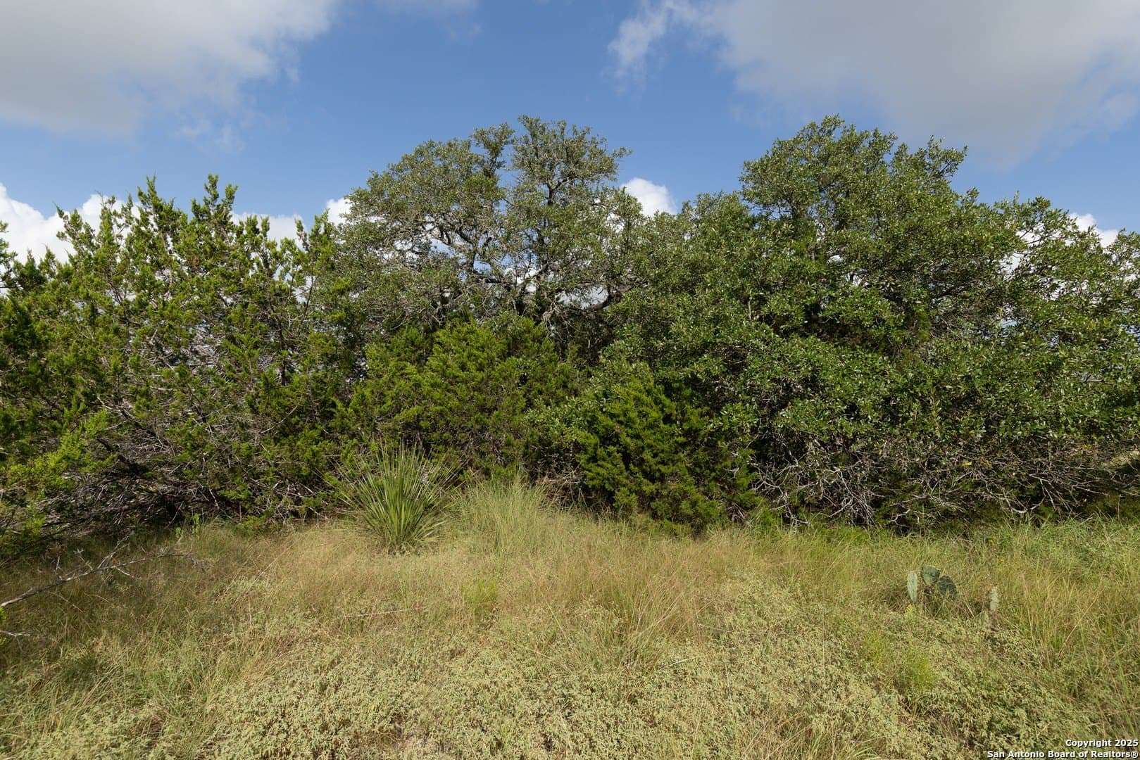 1.64 acres in Comal County featured view