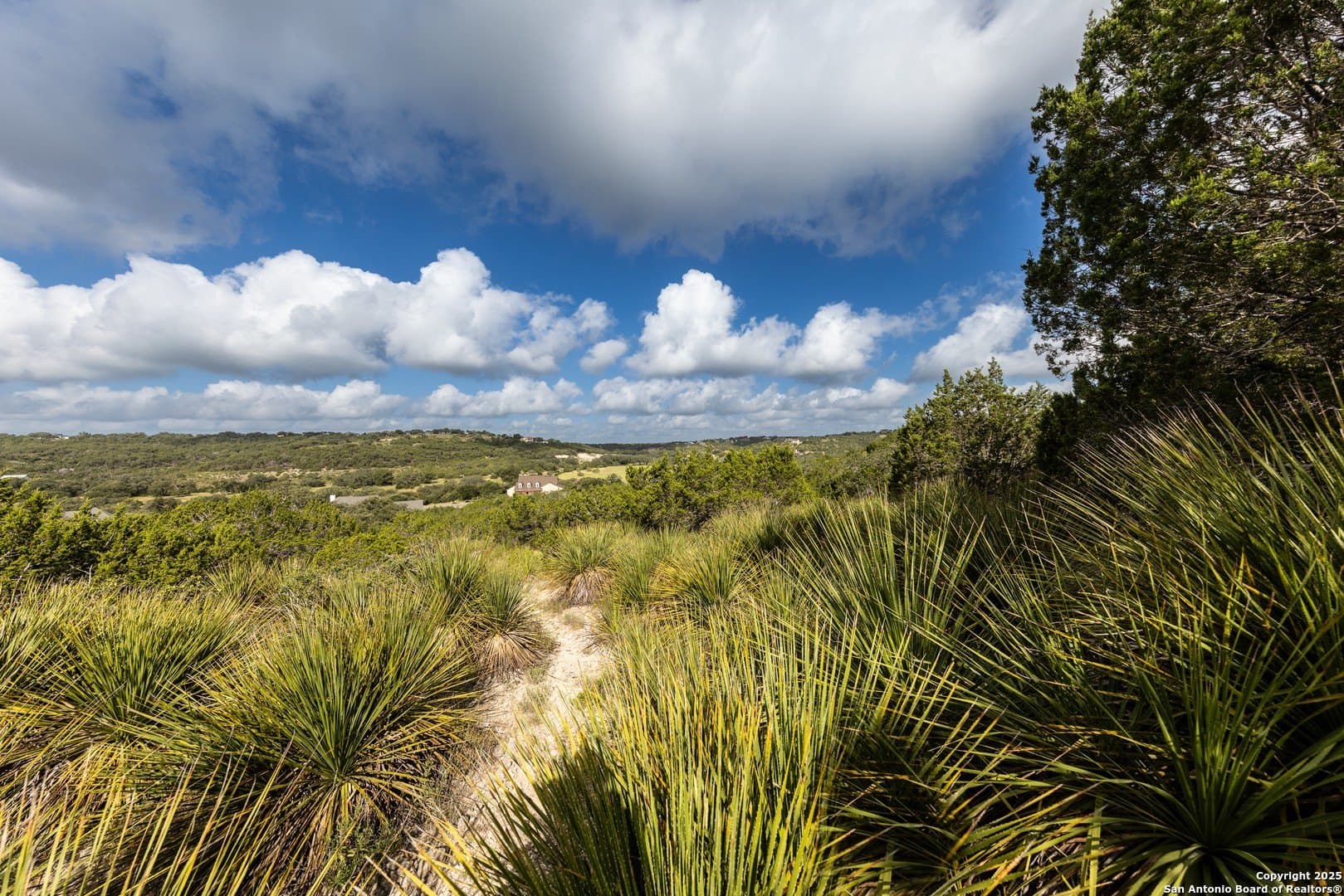 1.64 acres in Comal County - photo 7
