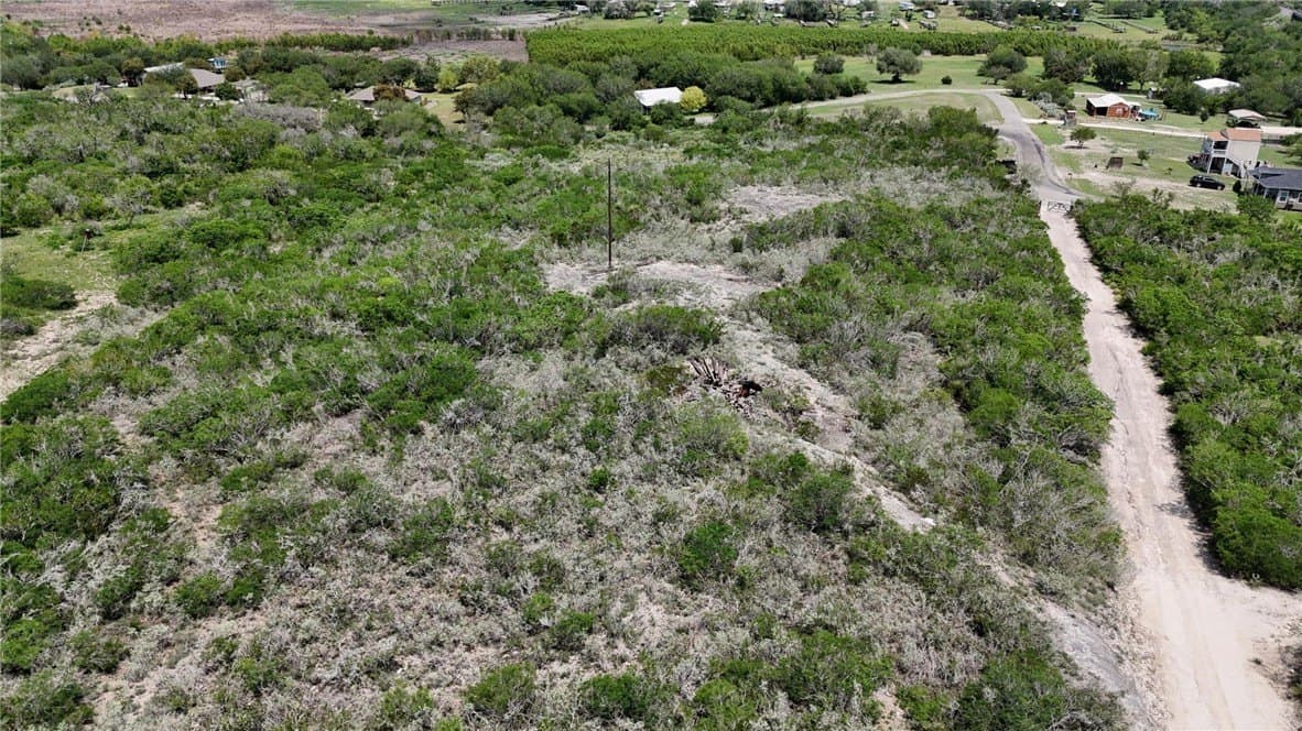 2 acres in Live Oak County - photo 9