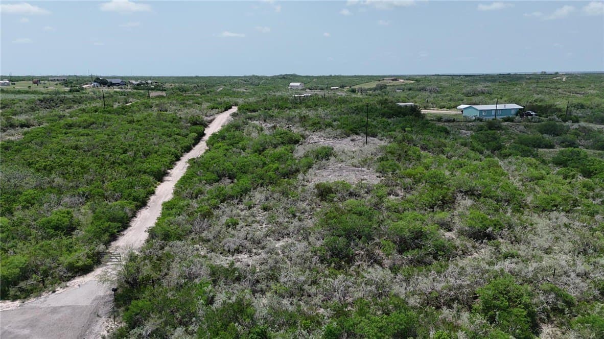2 acres in Live Oak County gallery image 3