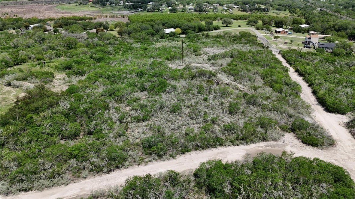 2 acres in Live Oak County - photo 10