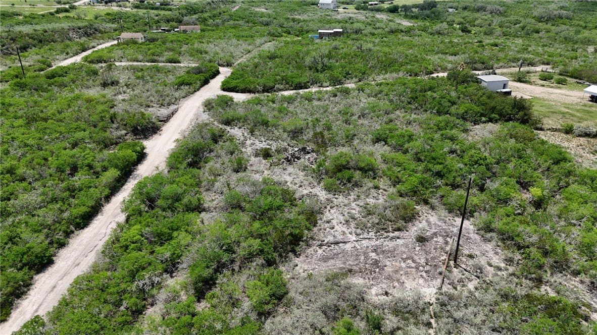 2 acres in Live Oak County - photo 7