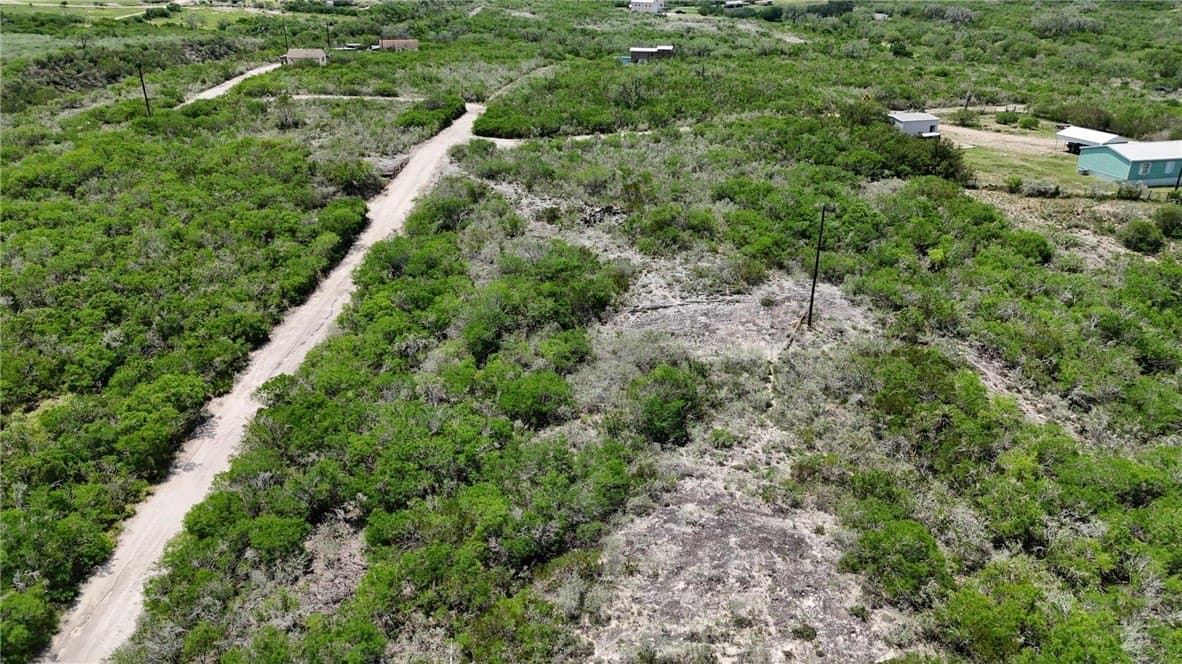 2 acres in Live Oak County - photo 6