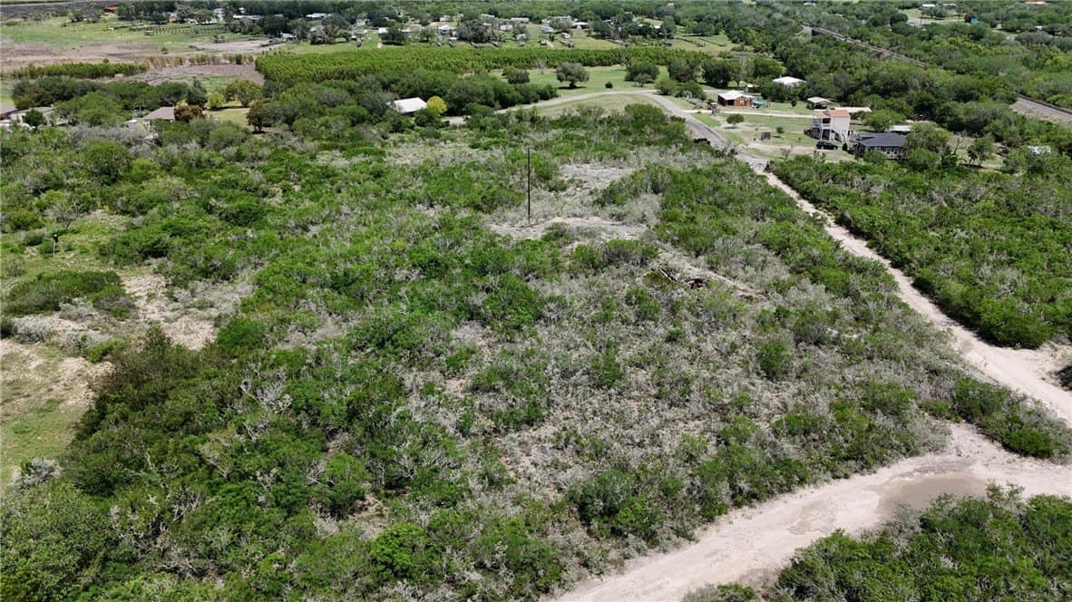2 acres in Live Oak County - photo 12