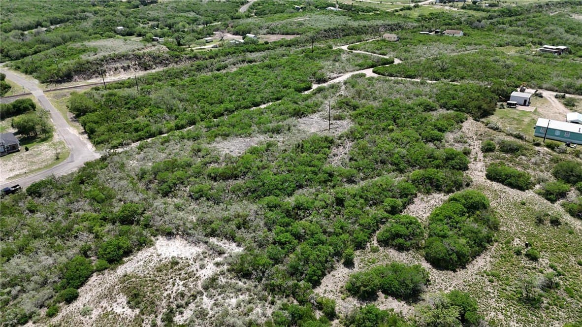 2 acres in Live Oak County - photo 15