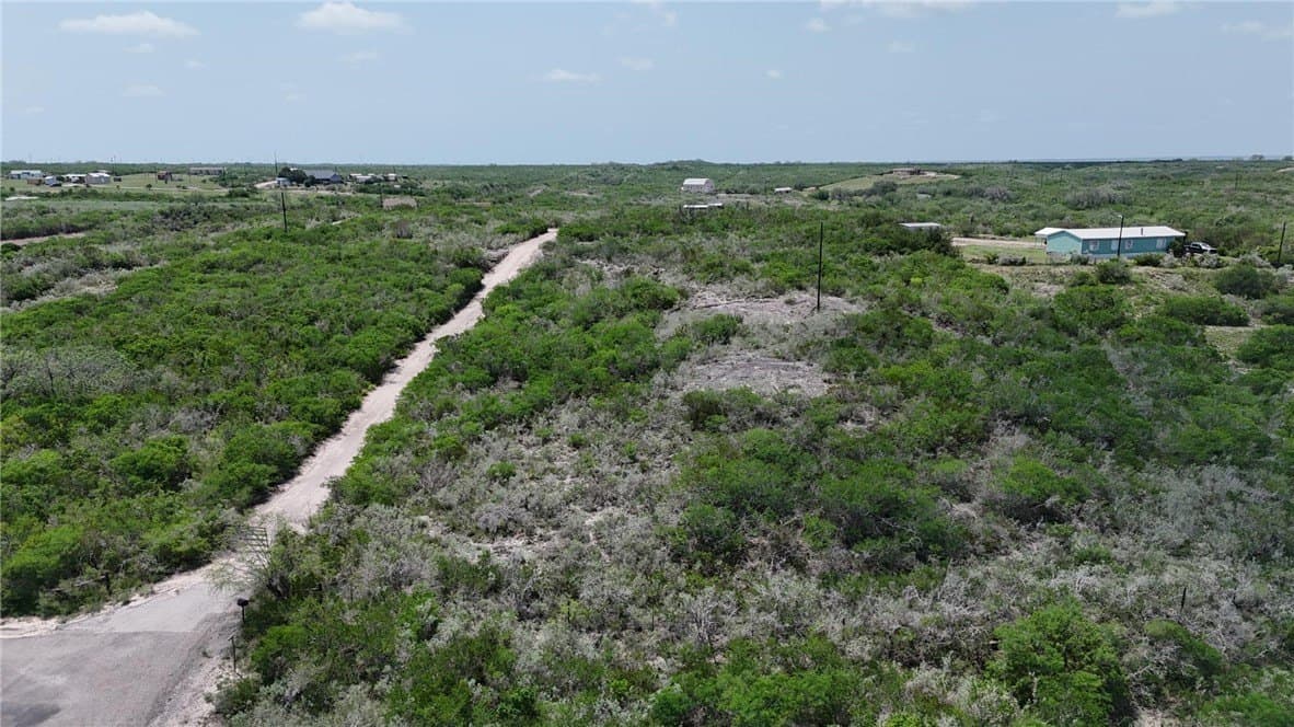 2 acres in Live Oak County gallery image 4