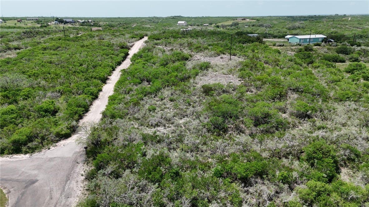 2 acres in Live Oak County gallery image 2