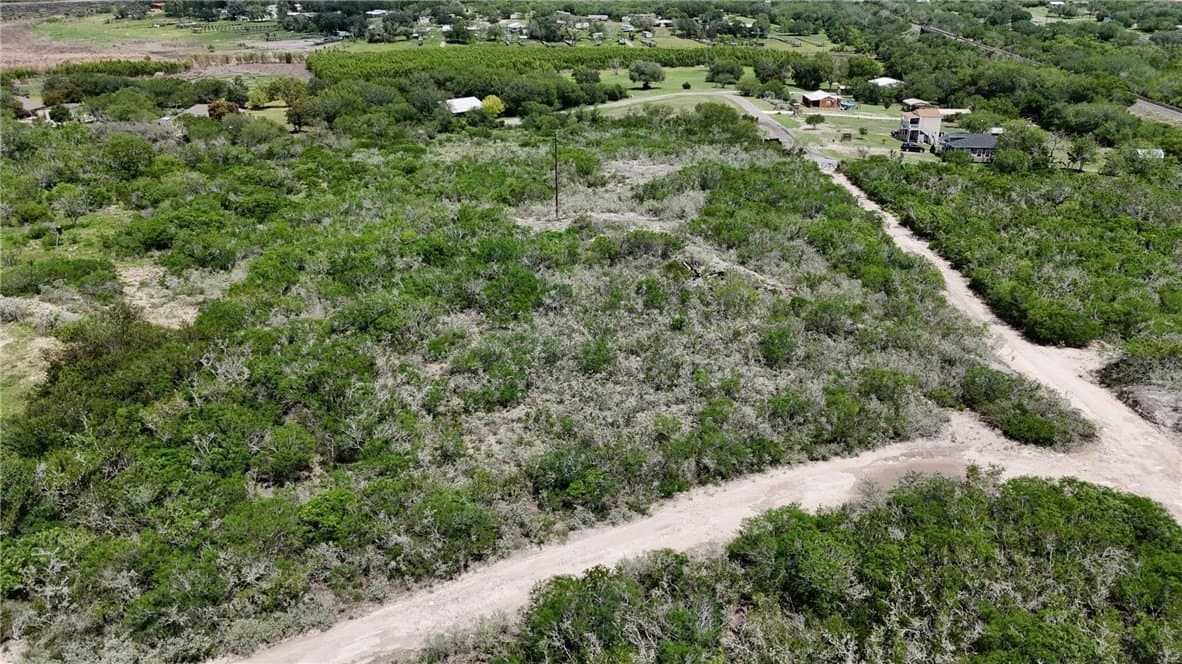 2 acres in Live Oak County - photo 11