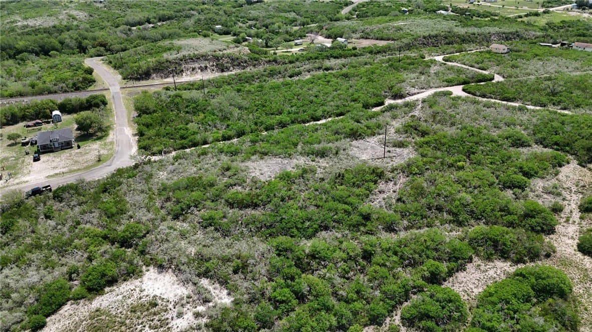 2 acres in Live Oak County - photo 14