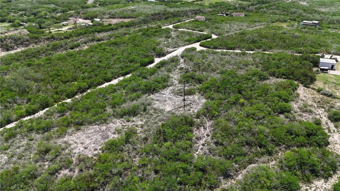 2 acres in Live Oak County - photo 13