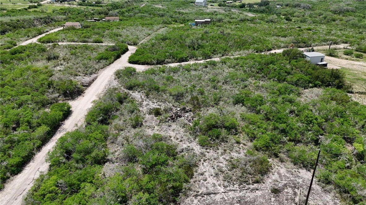 2 acres in Live Oak County - photo 8