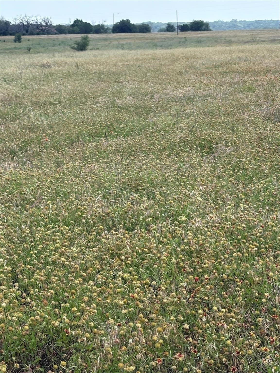 1.2 acres in Bosque County - photo 4