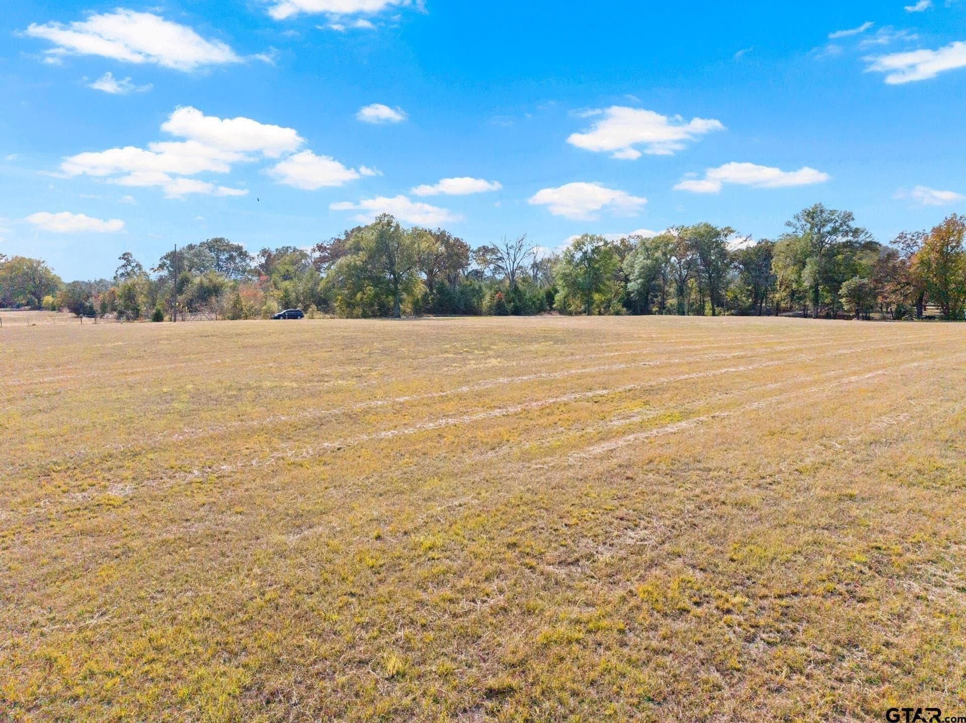 8.65 acres in Titus County - photo 10