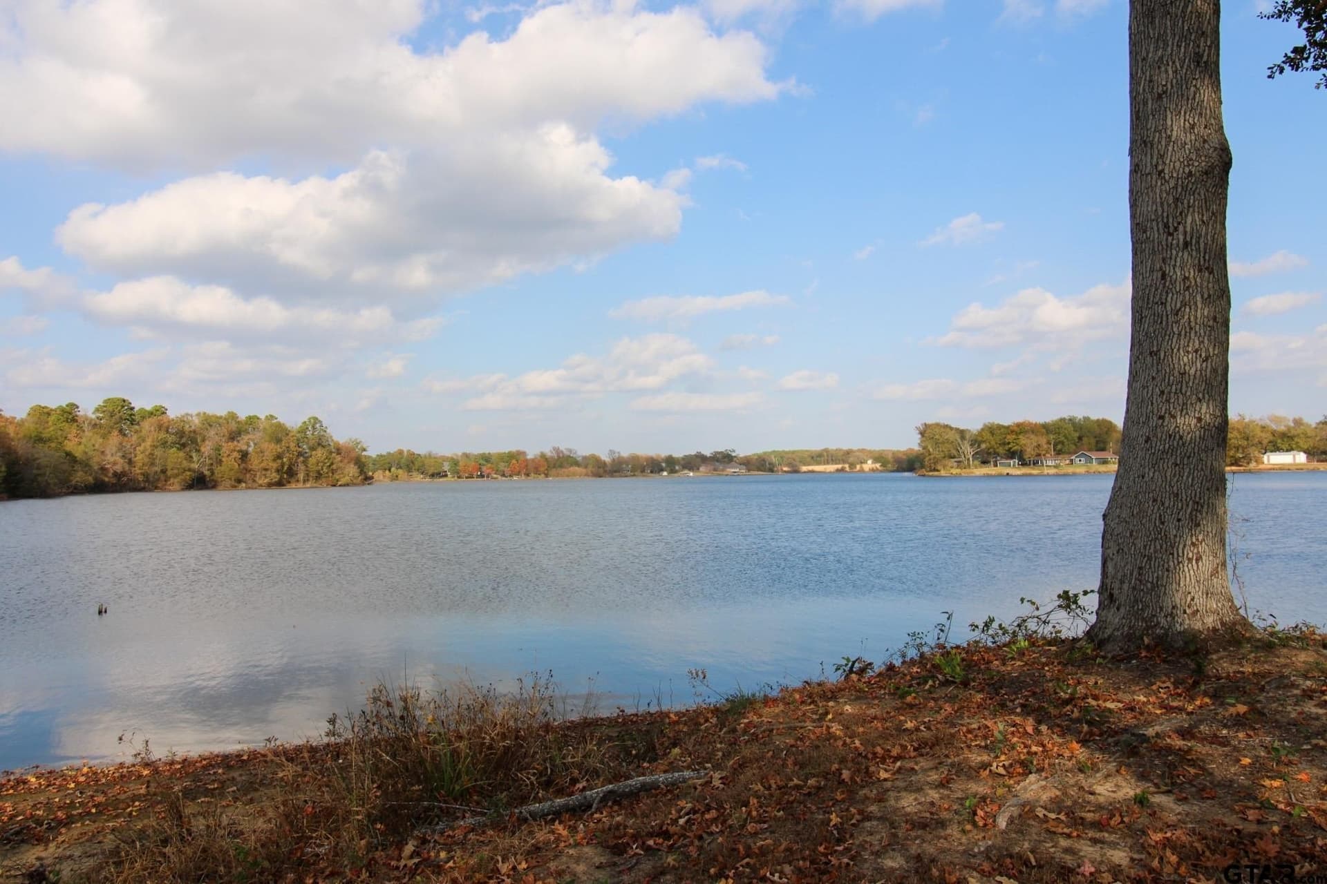 8.65 acres in Titus County - photo 7