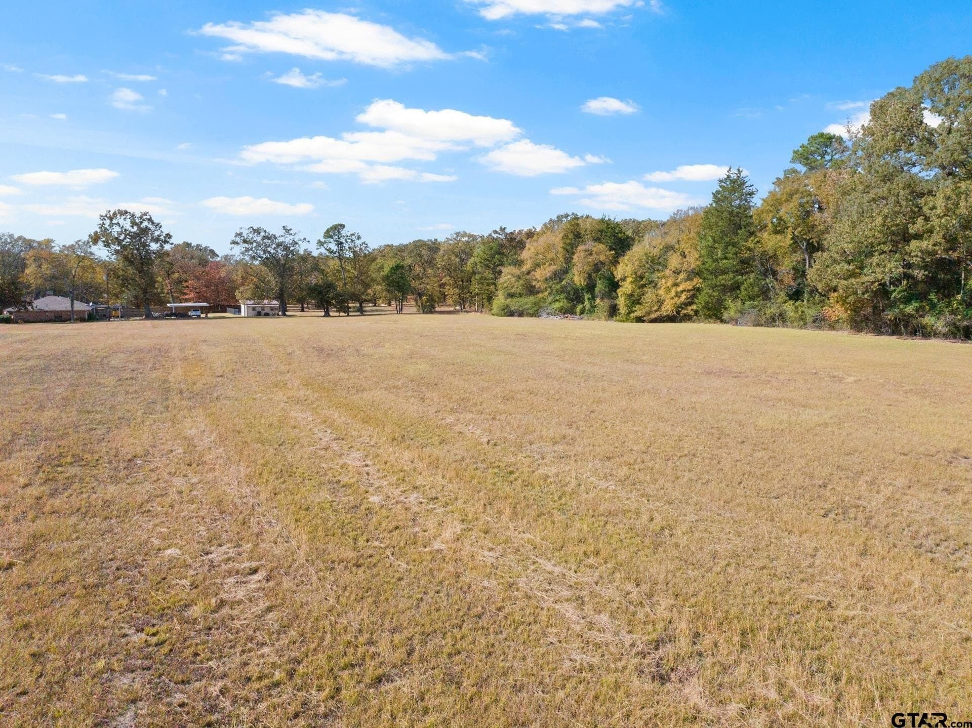 8.65 acres in Titus County - photo 11