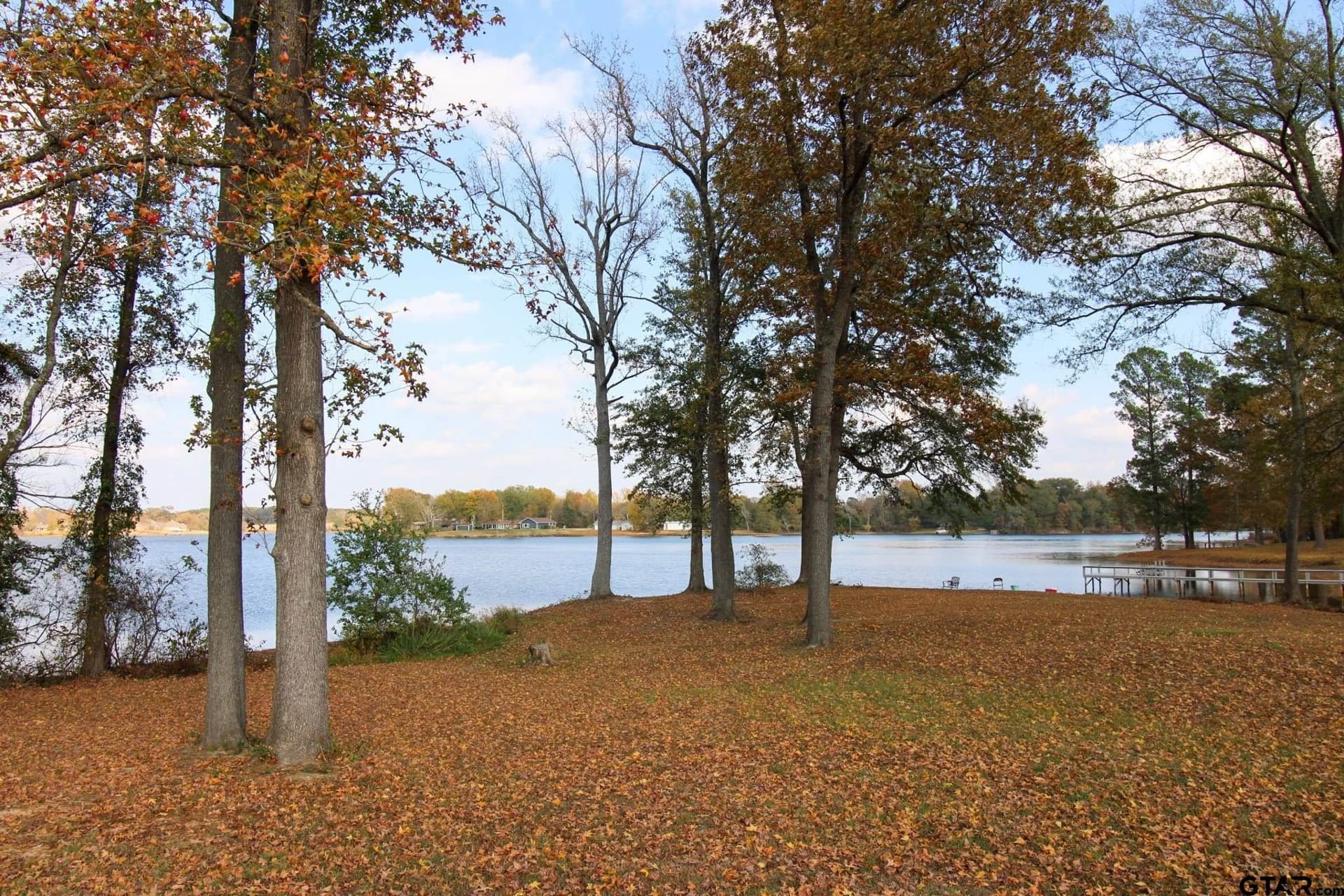 8.65 acres in Titus County - photo 4