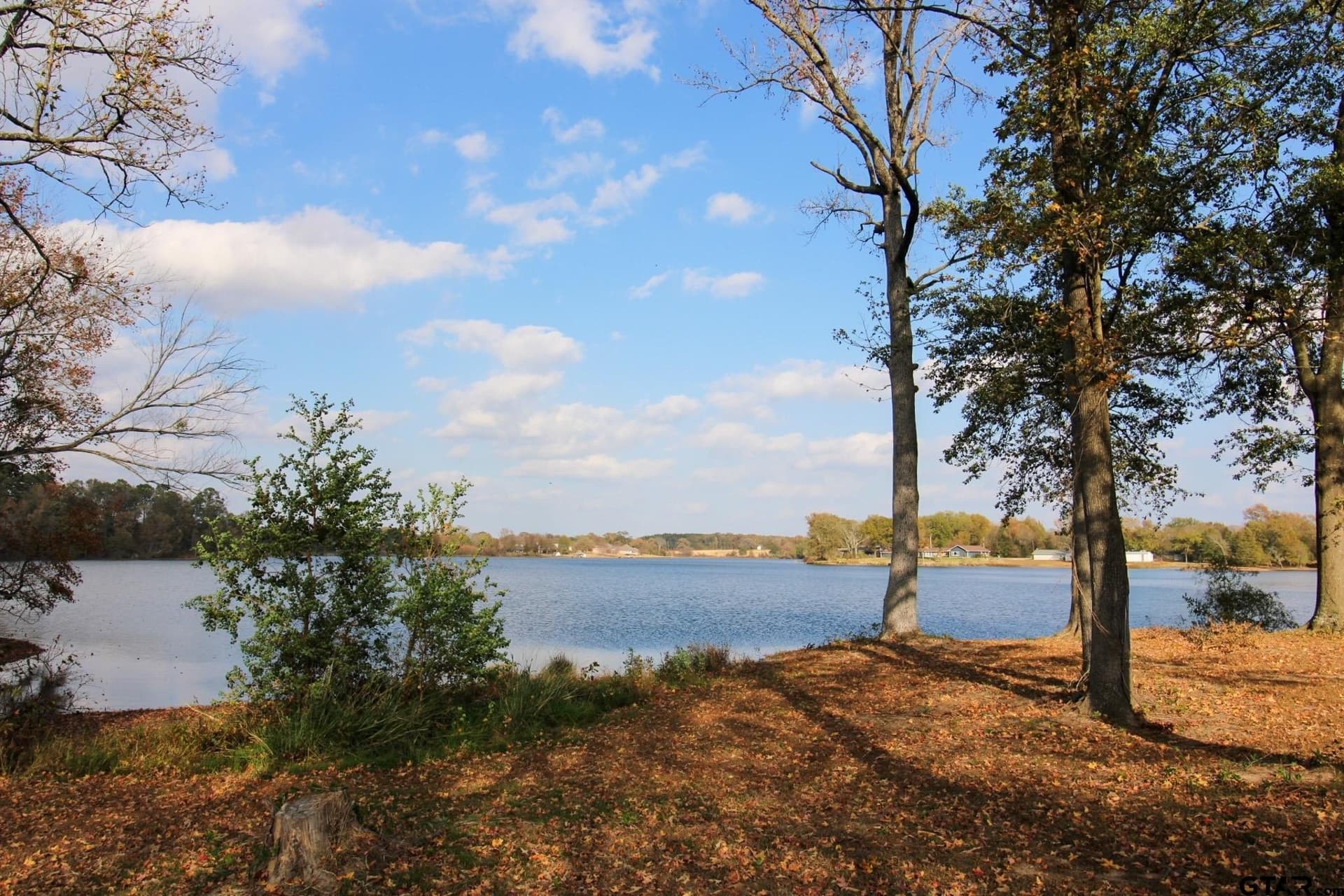 8.65 acres in Titus County - photo 9