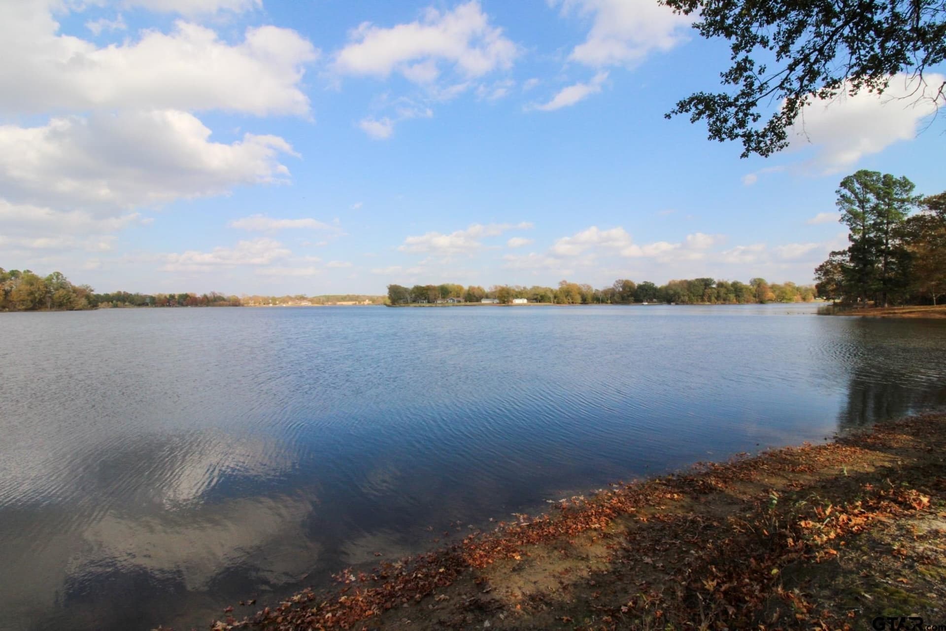 8.65 acres in Titus County - photo 5