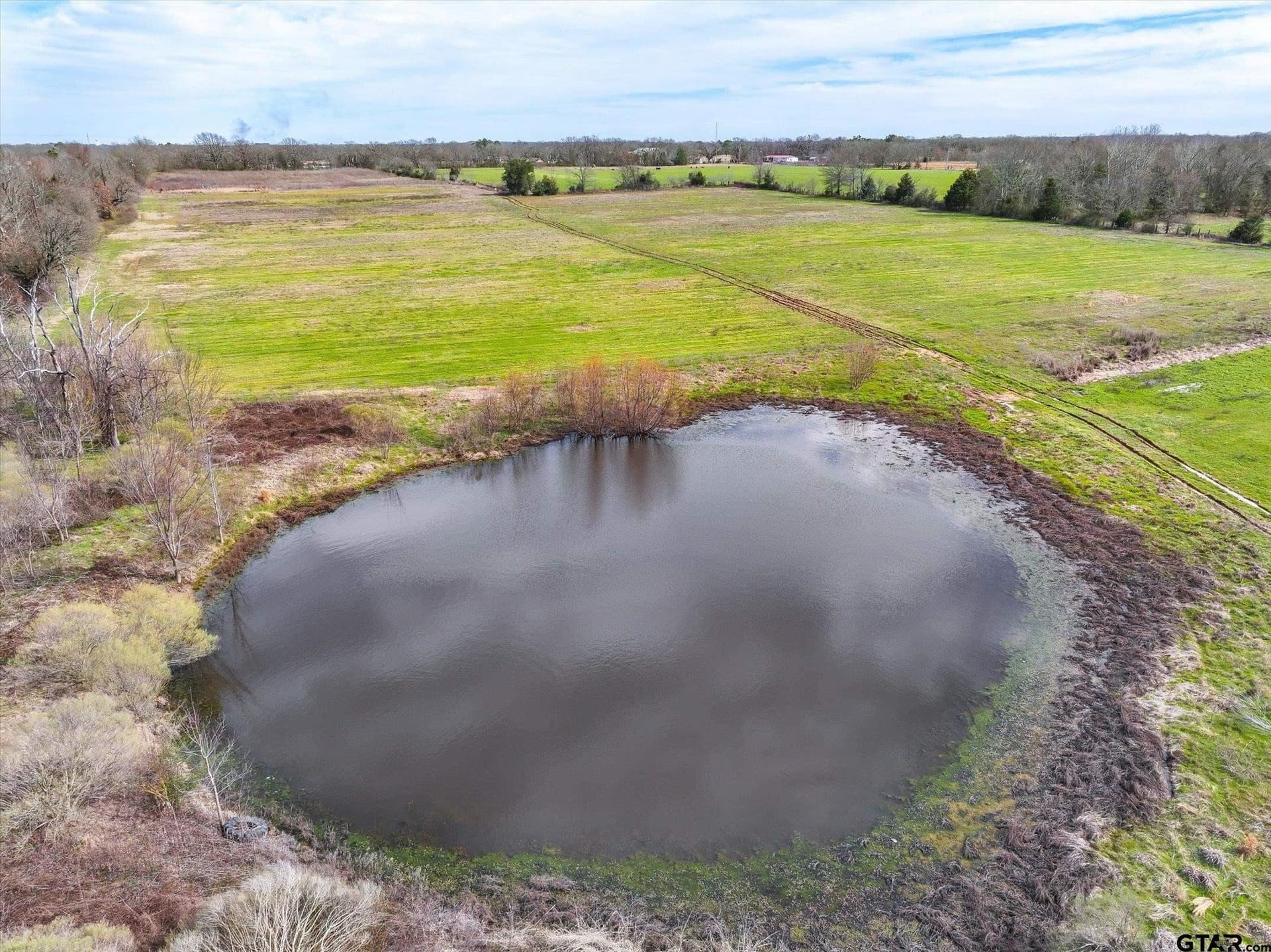 33.34 acres in Van Zandt County gallery image 3