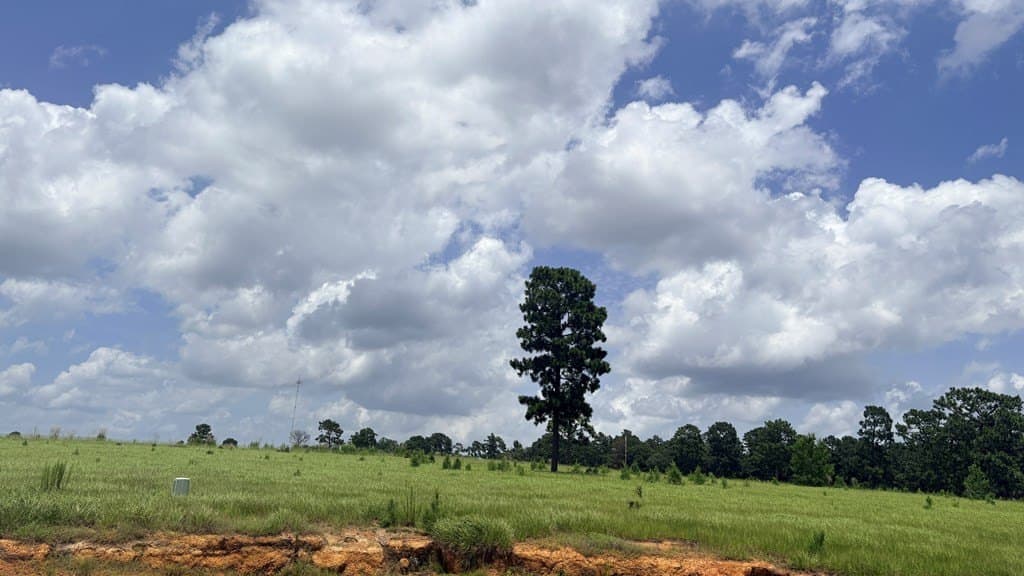 5 acres in Texas County featured view