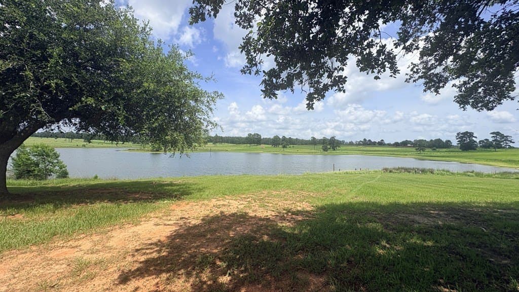 5 acres in Texas County - photo 6