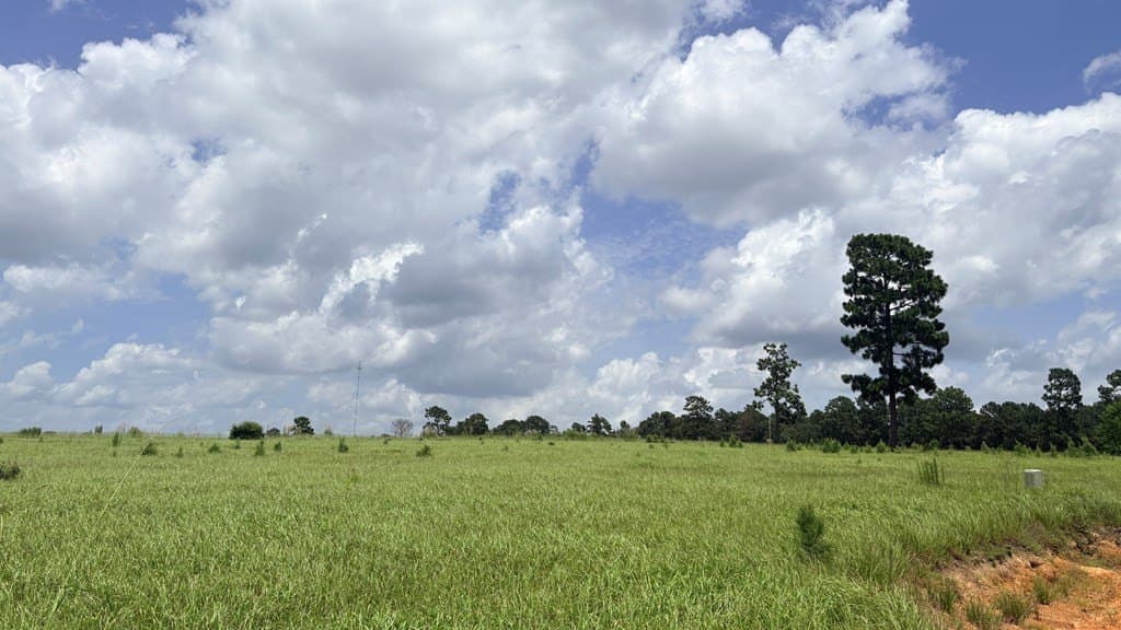 5 acres in Texas County - photo 11