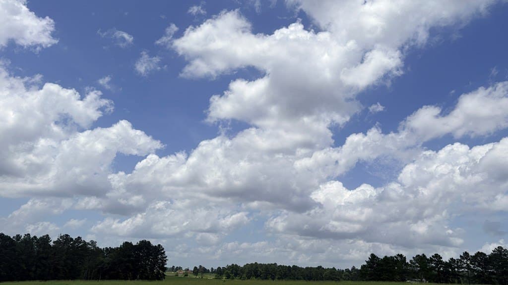 5 acres in Texas County - photo 12