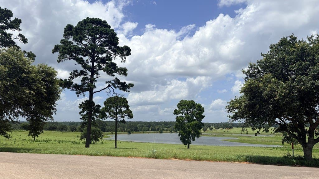 5 acres in Texas County - photo 8
