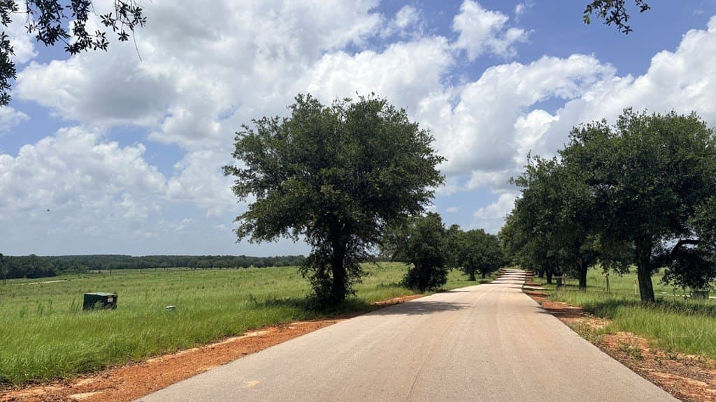5 acres in Texas County - photo 7