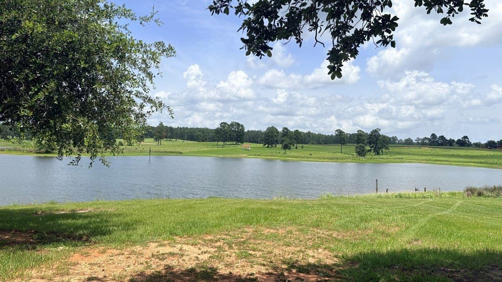 5 acres in Texas County - photo 13