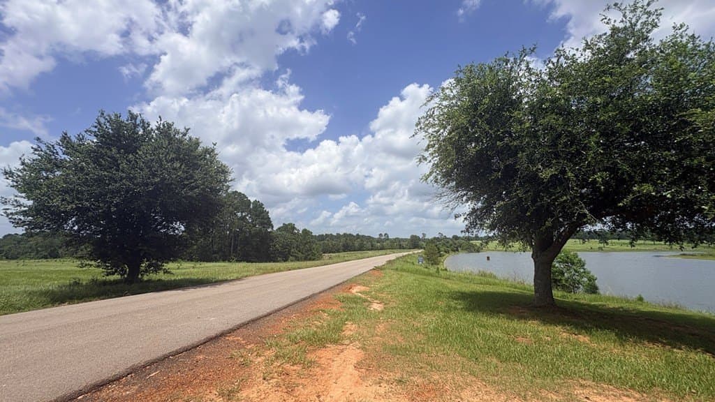 5 acres in Texas County - photo 14