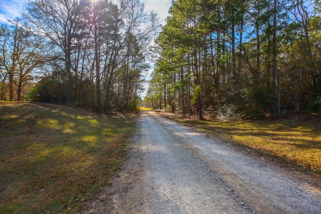 20.26 acres in Texas County - photo 58