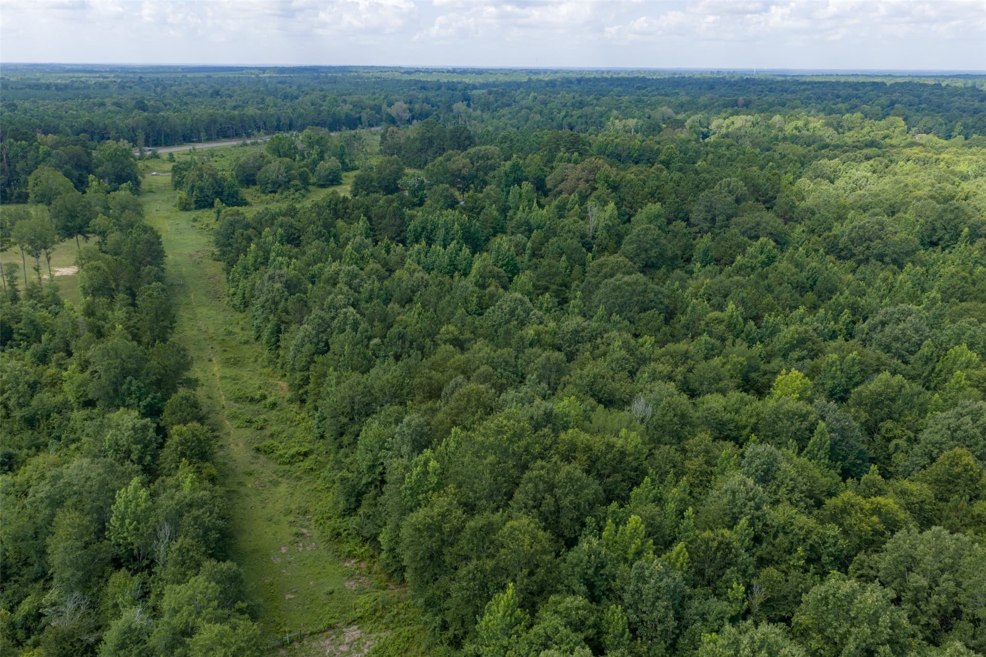 19.97 acres in Panola County - photo 5