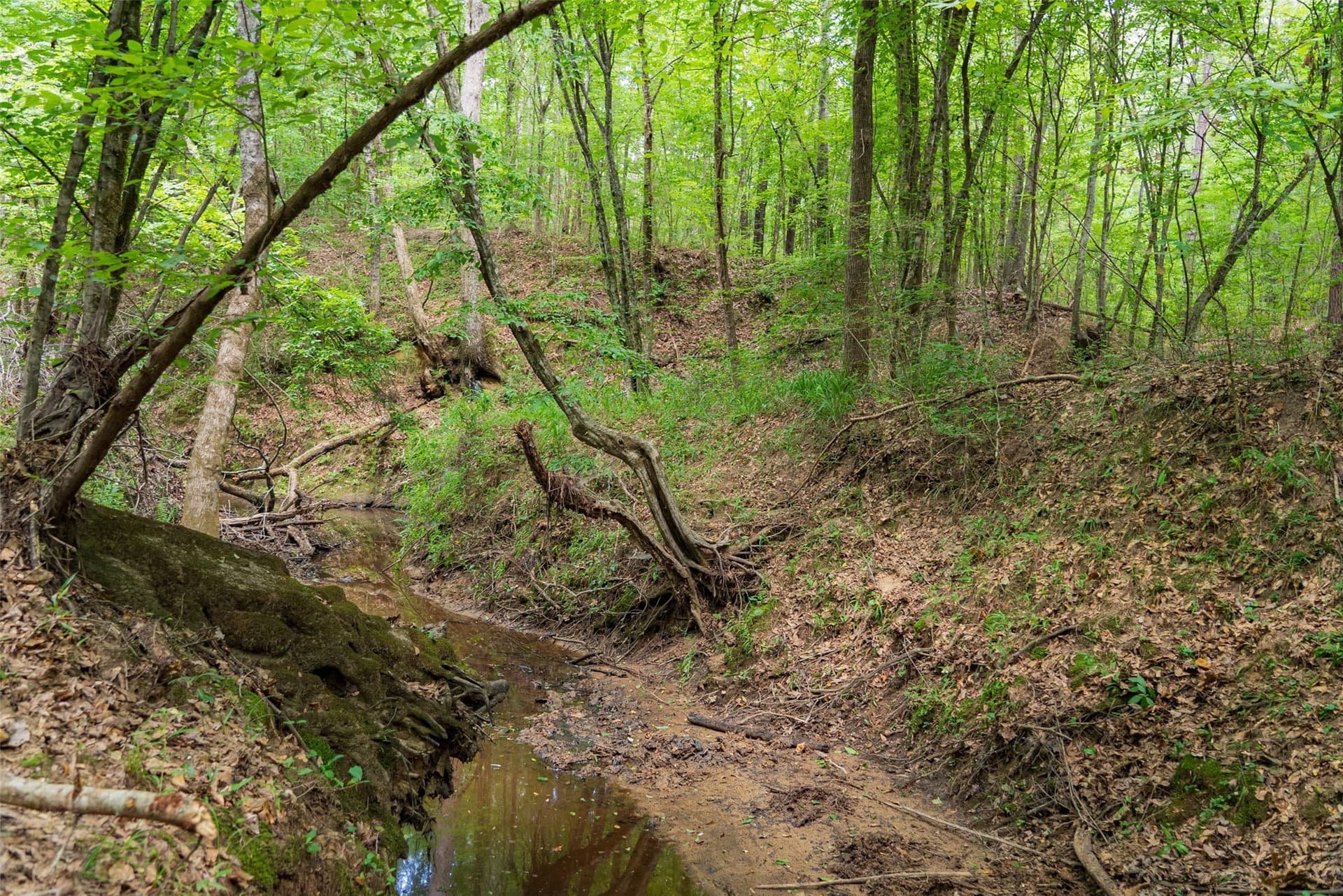 19.97 acres in Panola County - photo 31